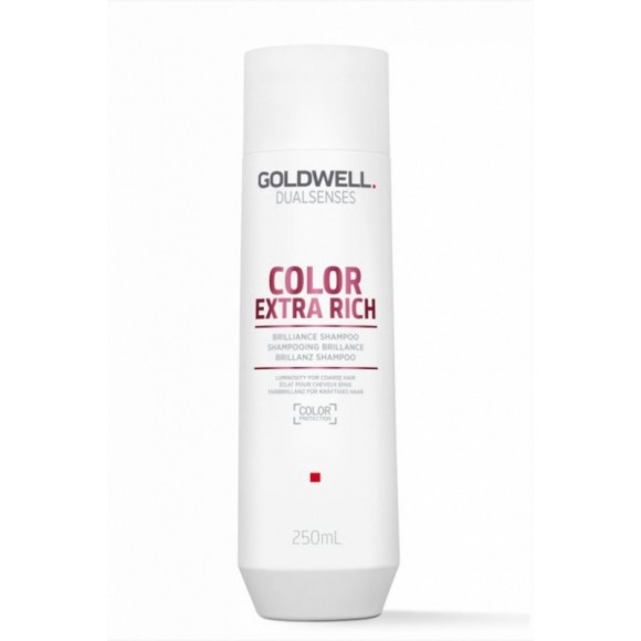 Goldwell Dualsenses Color Extra Rich Brilliance Shampoo (250ml)